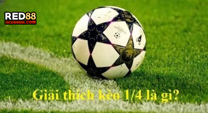 Kèo chấp ¼ RED88